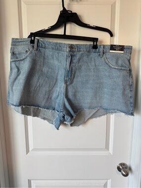 Abercrombie & Fitch Light Blue Denim Cutoff Shorts